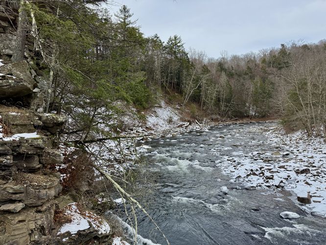View of Loyalsock Creek