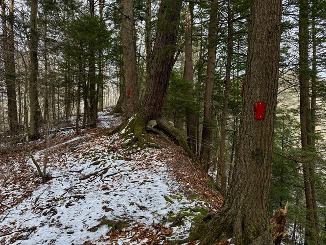 Red blazes of the High Rock Trail