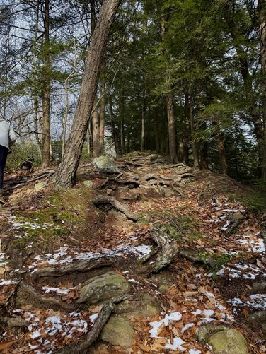 Hiking up the rooty High Rock Trail with Jax pulling up the mountain