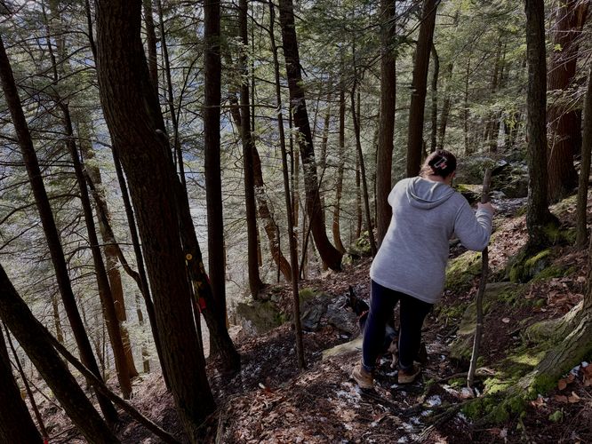 Steep trail with lots of rocks