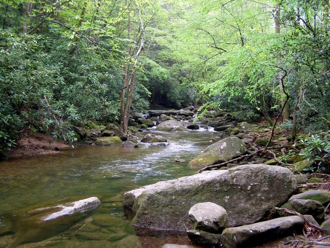Picture 8 of High Shoals Falls Hike 042615