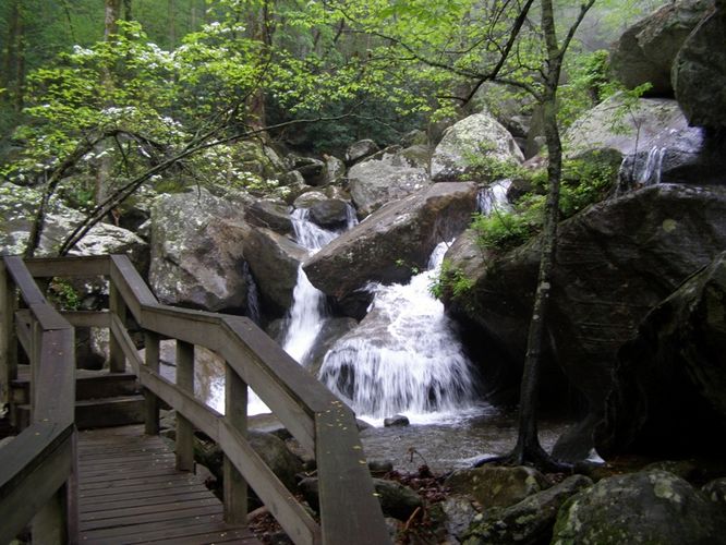 Picture 11 of High Shoals Falls Hike 042615
