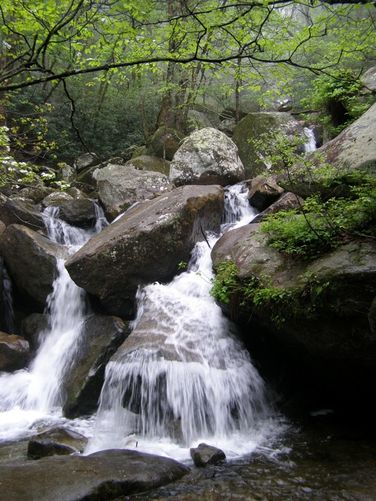 Picture 12 of High Shoals Falls Hike 042615