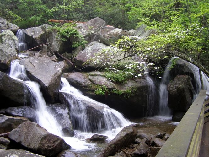Picture 13 of High Shoals Falls Hike 042615