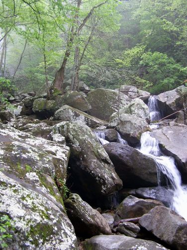 Picture 14 of High Shoals Falls Hike 042615