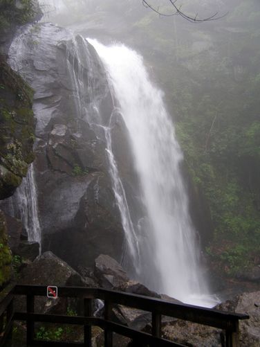 Picture 17 of High Shoals Falls Hike 042615
