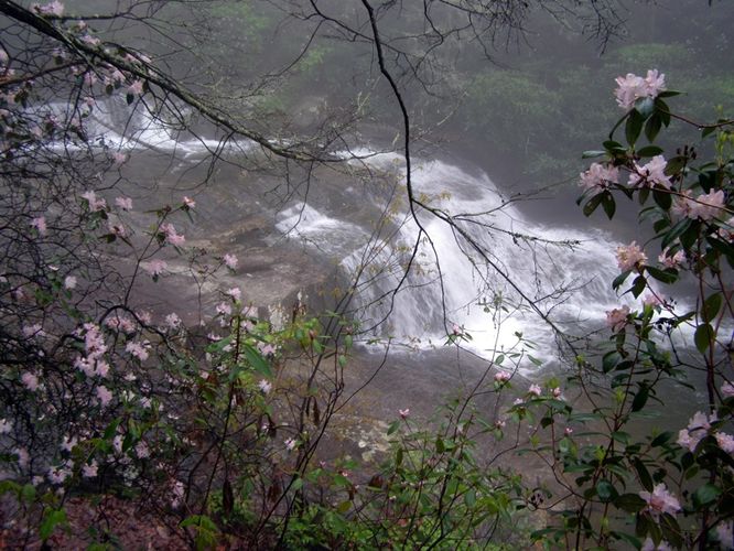 Picture 26 of High Shoals Falls Hike 042615