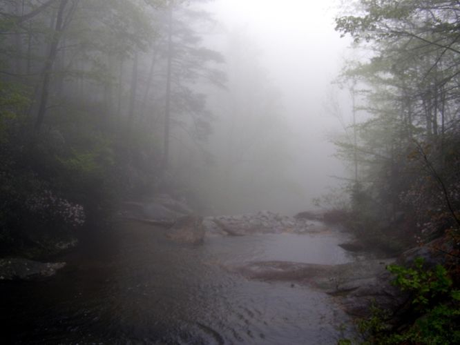 Picture 28 of High Shoals Falls Hike 042615