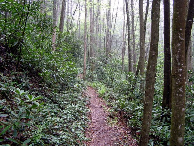 Picture 39 of High Shoals Falls Hike 042615