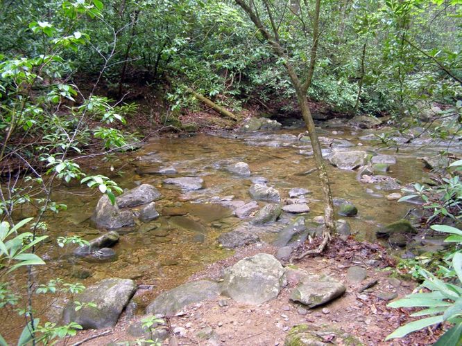 Picture 42 of High Shoals Falls Hike 042615
