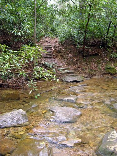 Picture 43 of High Shoals Falls Hike 042615