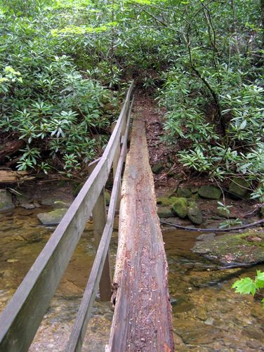 Picture 45 of High Shoals Falls Hike 042615