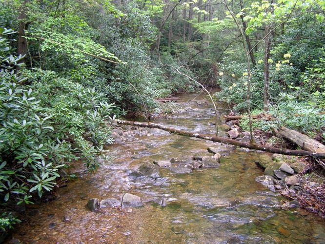 Picture 46 of High Shoals Falls Hike 042615