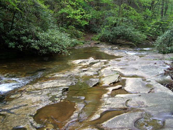 Picture 47 of High Shoals Falls Hike 042615