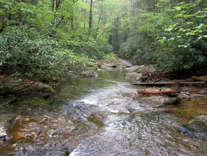 Picture 48 of High Shoals Falls Hike 042615