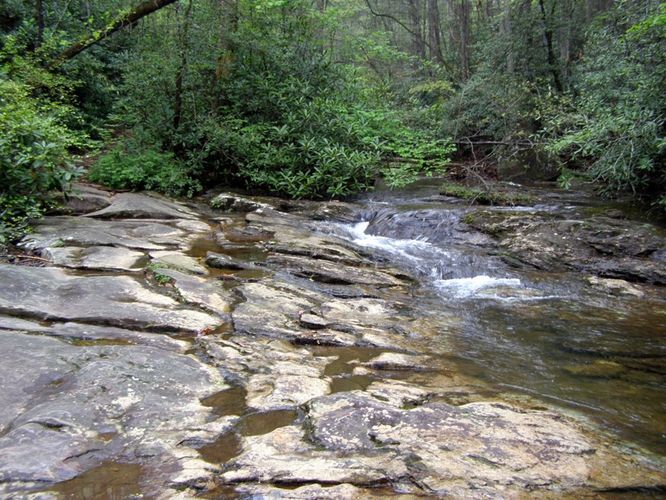 Picture 49 of High Shoals Falls Hike 042615
