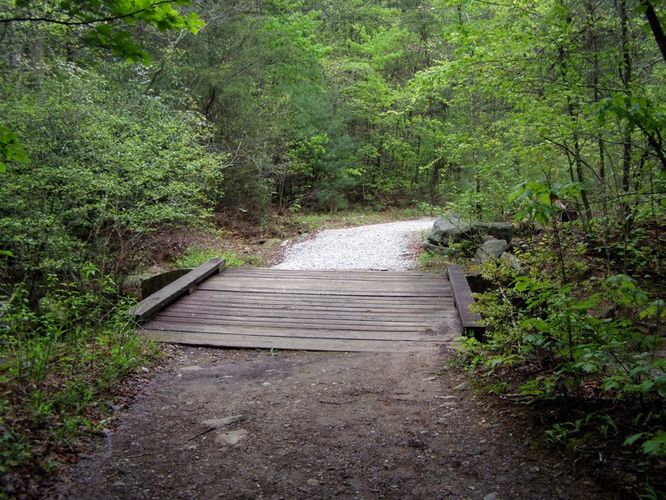 Picture 53 of High Shoals Falls Hike 042615