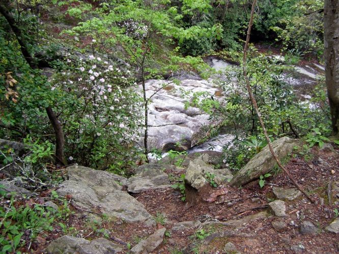 Picture 54 of High Shoals Falls Hike 042615