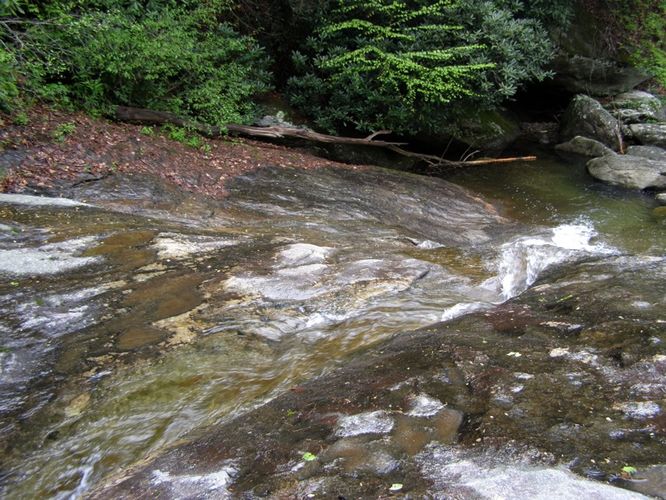 Picture 60 of High Shoals Falls Hike 042615