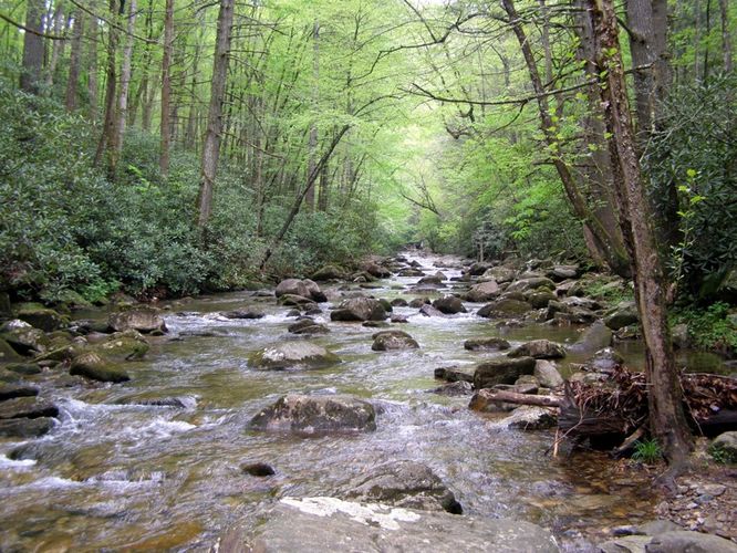 Picture 67 of High Shoals Falls Hike 042615