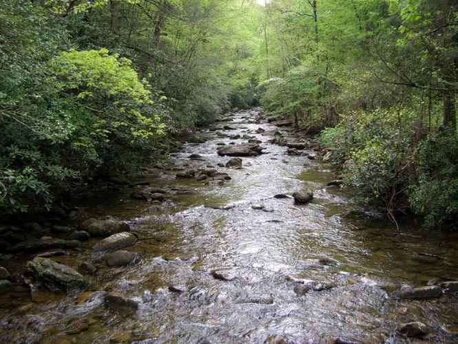 Picture 71 of High Shoals Falls Hike 042615