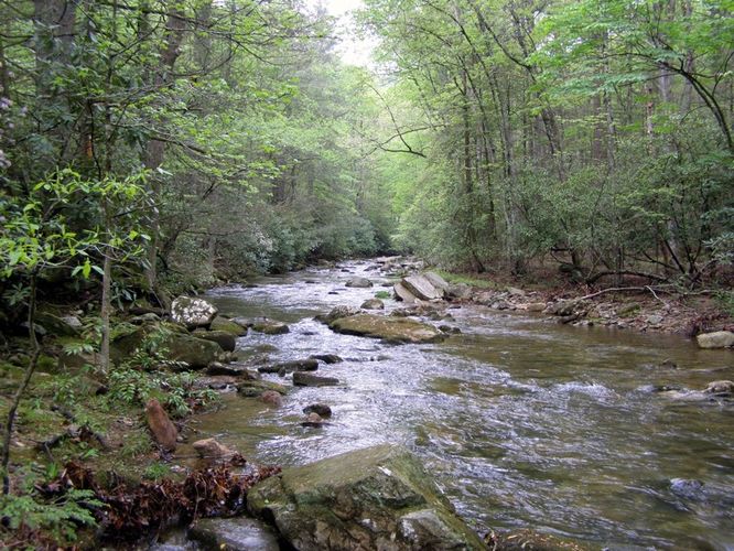 Picture 72 of High Shoals Falls Hike 042615