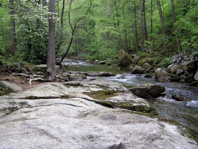 Picture 74 of High Shoals Falls Hike 042615