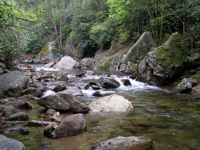 Picture 77 of High Shoals Falls Hike 042615