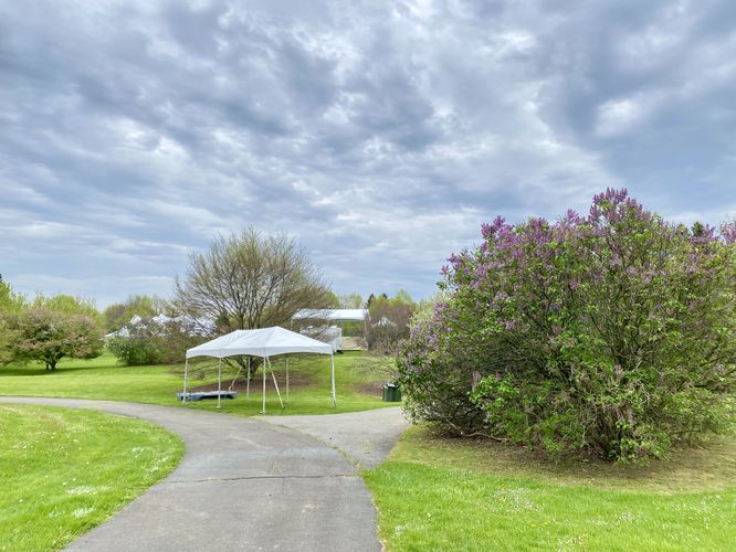 Highland Park Lilac Walk - Highland Park Lilac Walk album