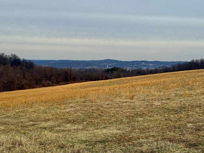 Golden grasses line the slopes at Highpoint Scenic Vista and Recreation Area in York County, PA