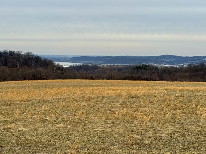 A view of the Susquehanna River