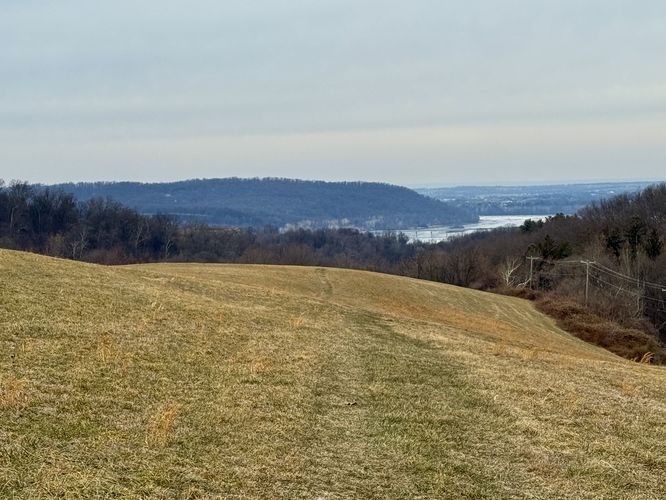 View of the river from the grassy trail