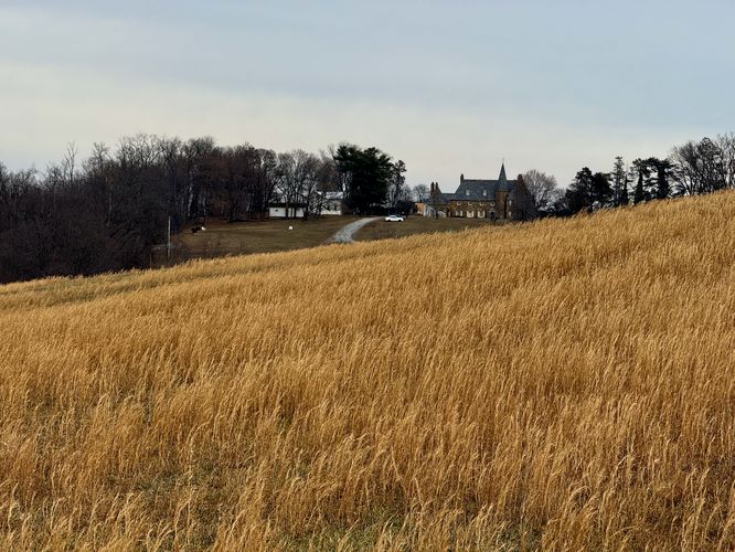Scenic PA grasslands
