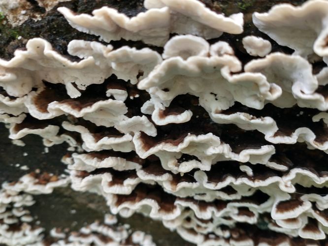 Shift your focus to smaller things when visibility is limited.