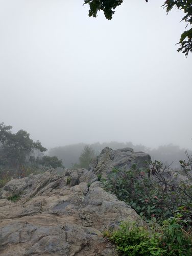 Our view from the mist covered Hightop Mountain  