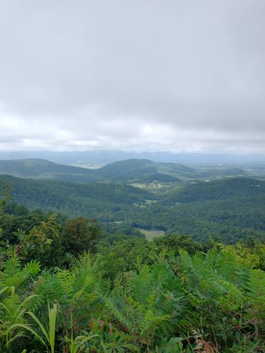 Default image for Hightop Mountain via Smith Roach Gap (AT), a 3.6-mile trail in Beldor, VA (US)