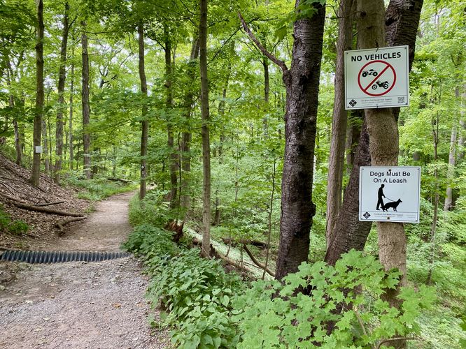 On the trail - dogs must be leashed