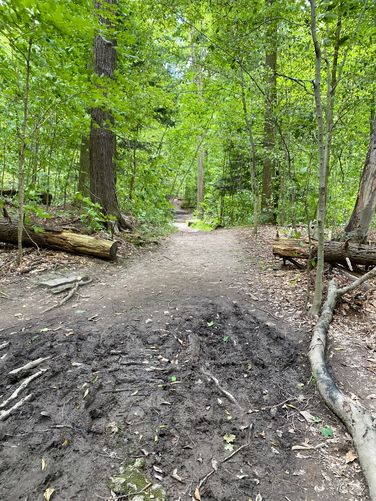 Trail can be muddy in sections