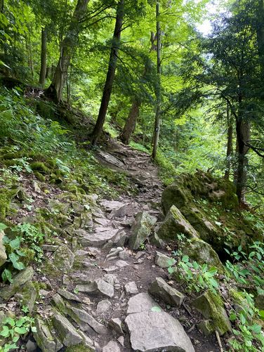 Rocky trail leads along Twenty Mile Creek