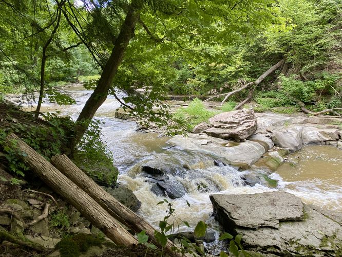 Cascades within Twenty Mile Creek (more downstream)