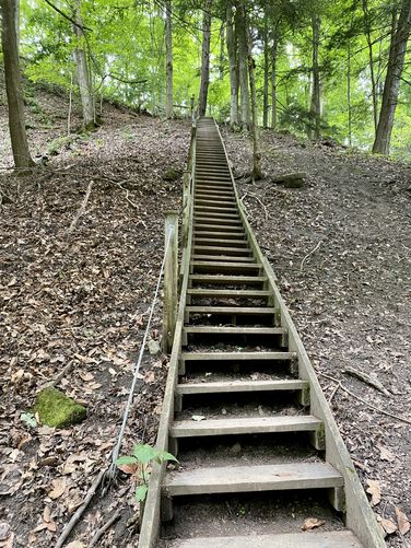 Steep stairs leads up to Lower Ball's Falls