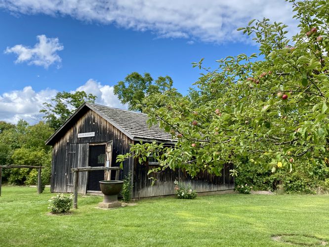 Apple tree stands infront of an old blacksmith shop