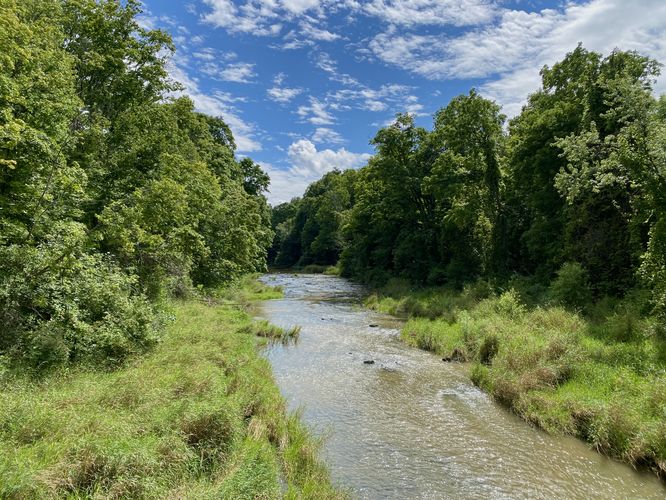 View of Twenty Mile Creek from the footbridge