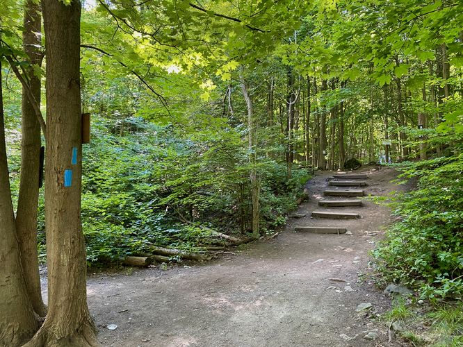 Official trailhead to Sherman Falls after the road walk from the parking lot