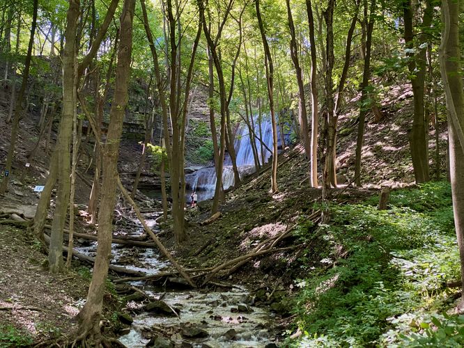 Sherman Falls cascades down the creek as seen through the forest from the trail