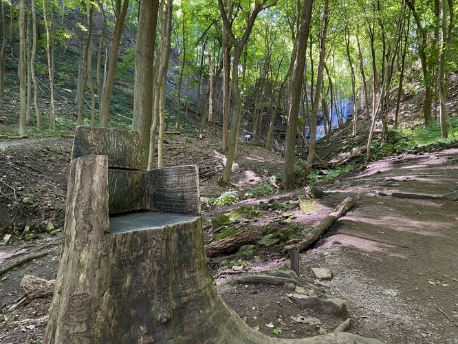 Tree trunk seat at Sherman Falls