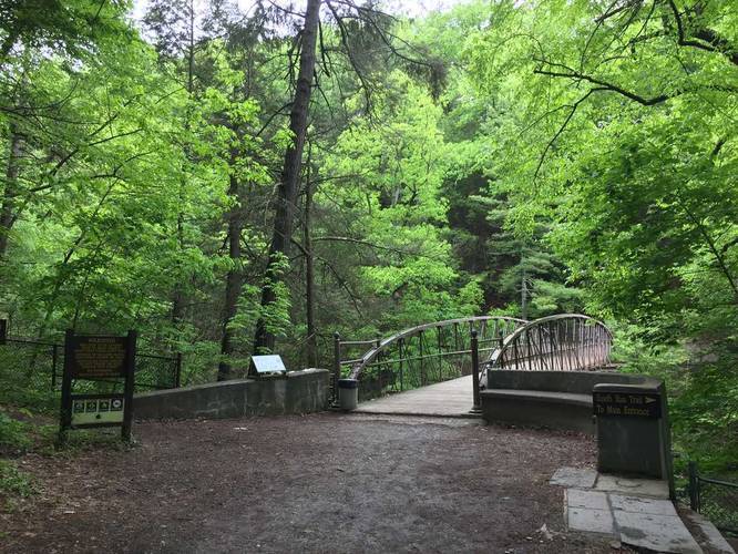 South Parking to Watkins Glen Gorge Trail - Hike to Watkins album