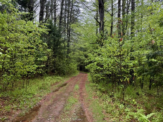 Picture 2 of Hill Reservoir Hike