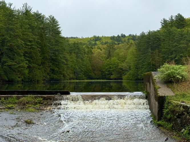 Picture 6 of Hill Reservoir Hike