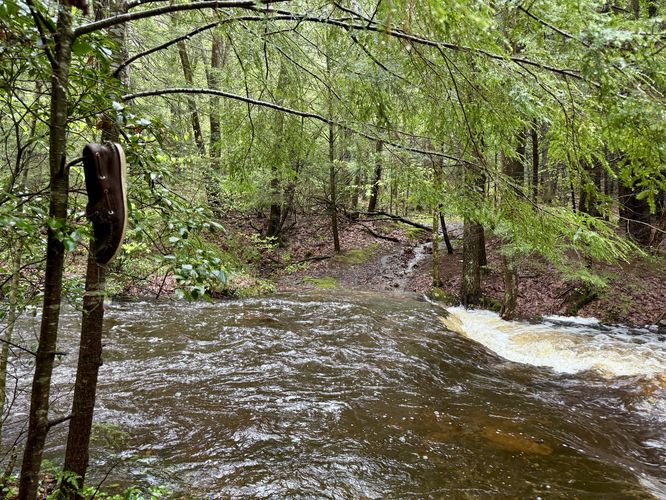 Creek crossing at Amethyst Brook